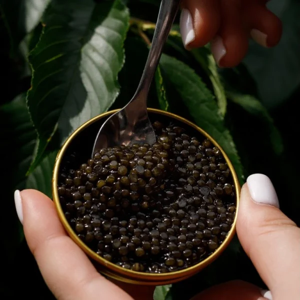 Beluga caviar 30 grams