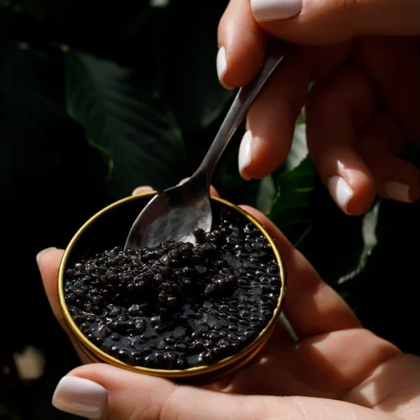 Black caviar of white sturgeon 100 grams